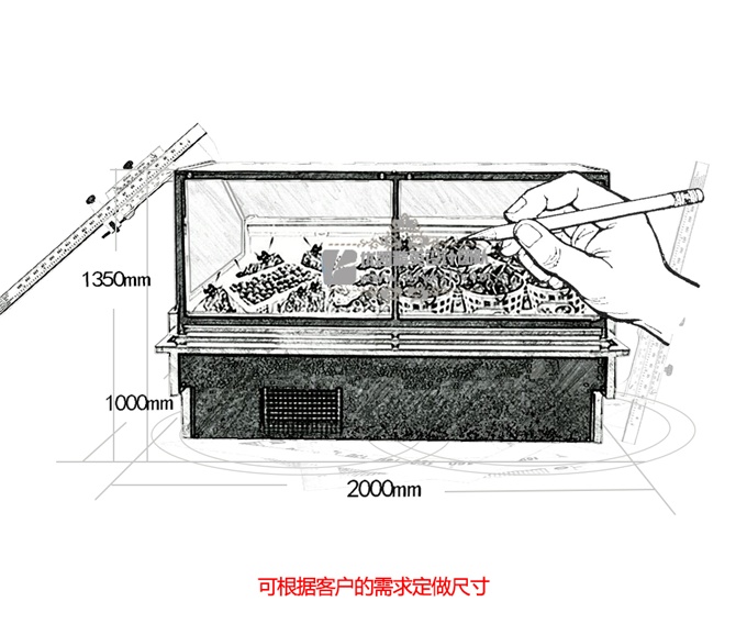 SG-YS型水果保鮮柜（暢銷產(chǎn)品）