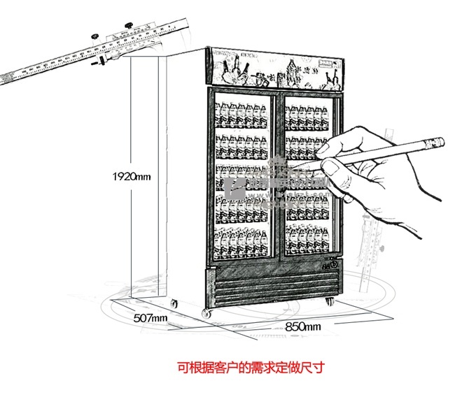 BL-B1雙門直冷陳列柜/飲料柜（暢銷產(chǎn)品）